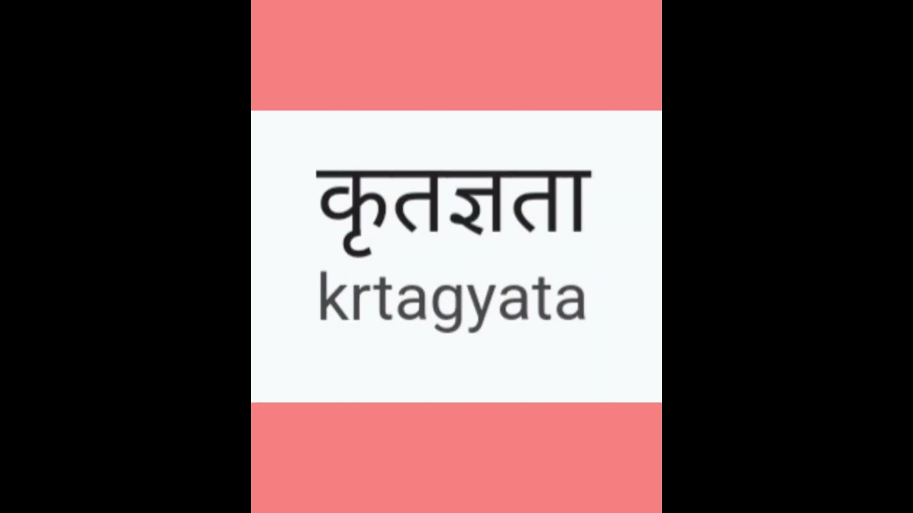 Gratitude meaning in hindi #studystudy