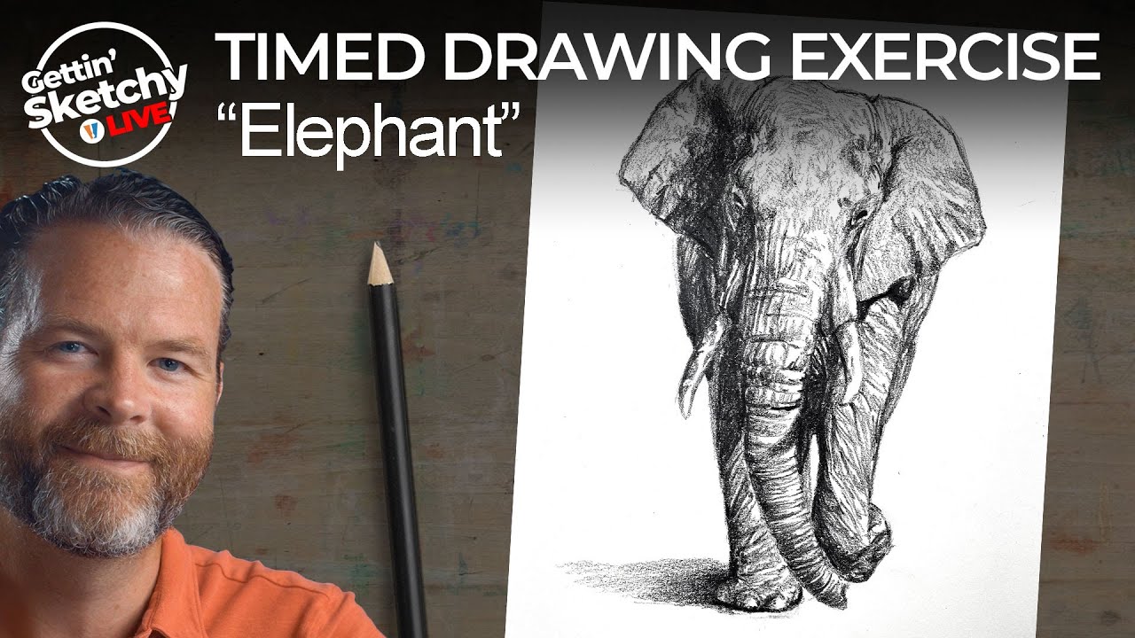 Elephant Pencil Drawing - Timed Drawing Exercise