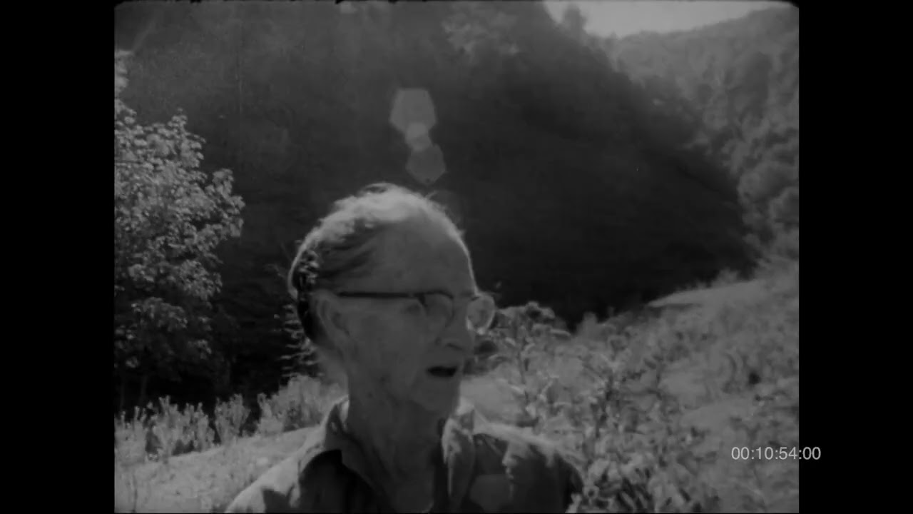 Love Has Brought Me to Despair (Roud 60) (1967) - Dellie Norton
