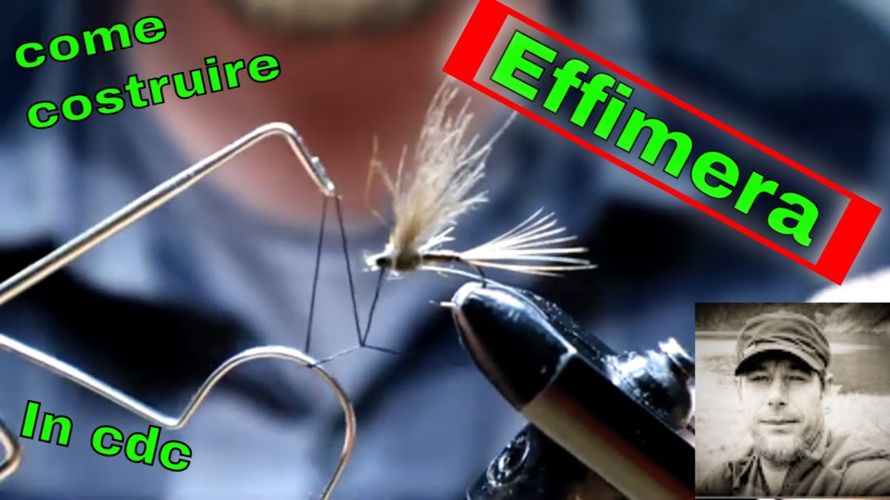 Costruzione mosca secca da pesca Effimera in cdc