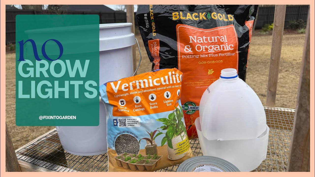 Winter Sow With Me | 🌱 Easy Seed Starting in Zone 8b #gardening