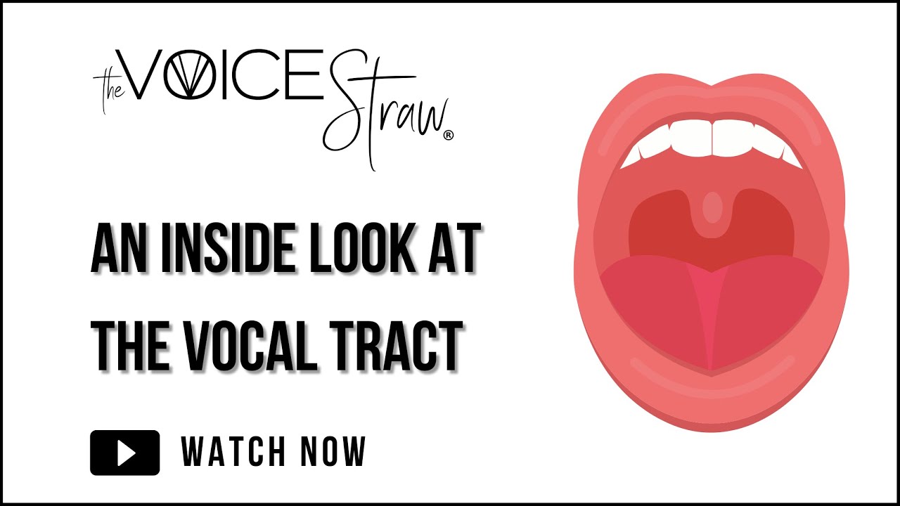 An Inside look of the vocal tract doing speech &mdash; (Straw Phonation for Singers and Speakers)