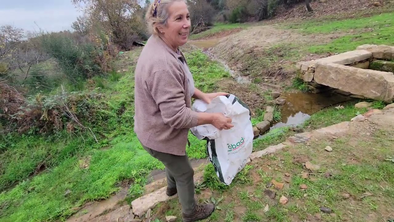 Vamos a ver la finca y las GALLINAS!