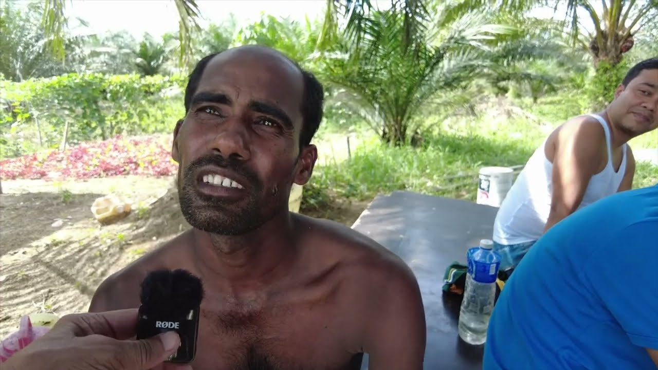 মালয়েশিয়ার গ্রামে বাংলাদেশিদের সংগ্রামী জীবন, Bangladeshis in Malaysian Village