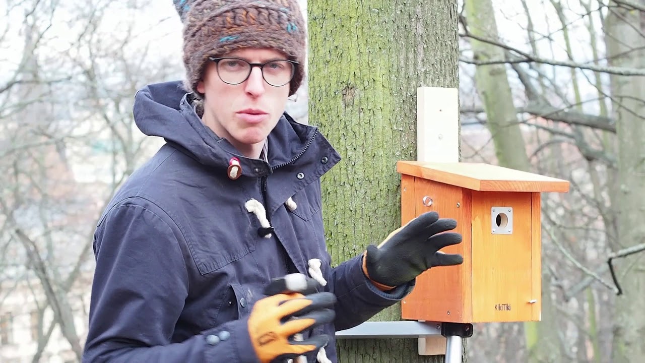 Vyvěšování ptačích budek