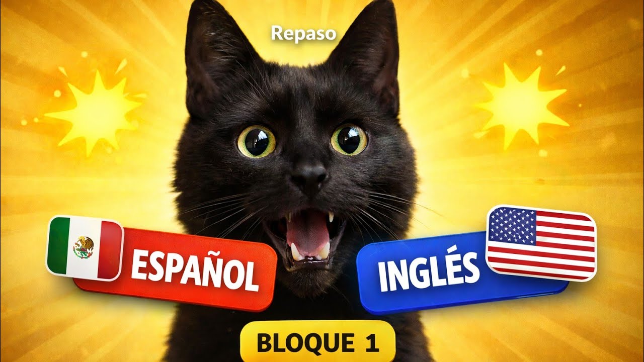 Tu primera conversación en inglés | Repaso de las primeras 5 frases básicas 🐱🇺🇸