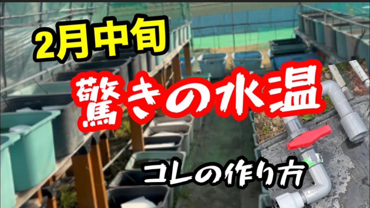 真冬に水温高すぎるわぁ！足し水に超便利アイテム【メダカ】