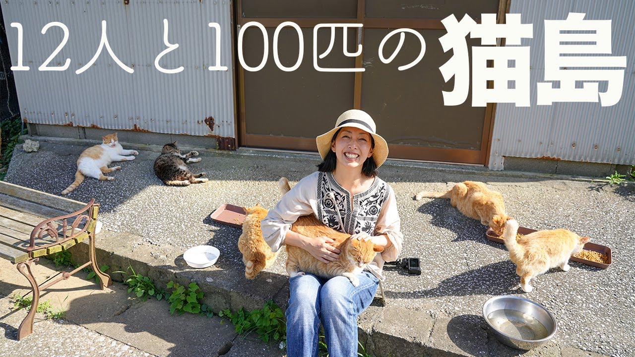【※猫好きさんだけ見てください】大分の猫島（深島）で子なし夫婦が癒される！ねこちゃん大盛りのスーパーまったり回　CAT ISLAND in Japan Oita