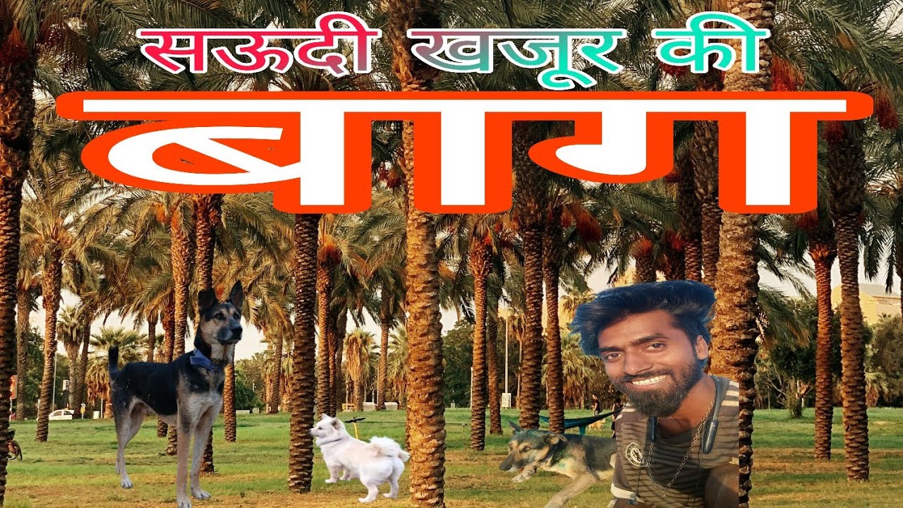 सऊदी खजूर की bag घूमते हुए-Nature vlog 🌴🐕=