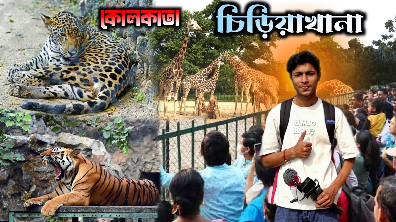 কোলকাতা আলিপুর চিড়িয়াখানা ভ্রমণ 2026 | Kolkata Alipore Zoo | Zooligical Garden | Tickets Price ? 