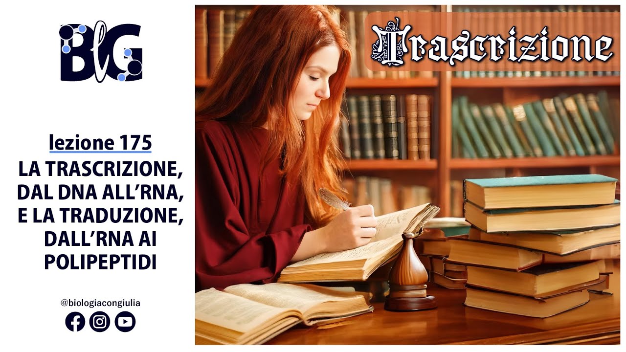 La TRASCRIZIONE, dal DNA all'RNA, e la TRADUZIONE, dall'RNA ai POLIPEPTIDI