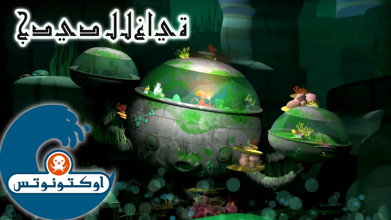 5 أوكتونوتس | لغز الأخطبوط | السلسلة 4 | الحلقة