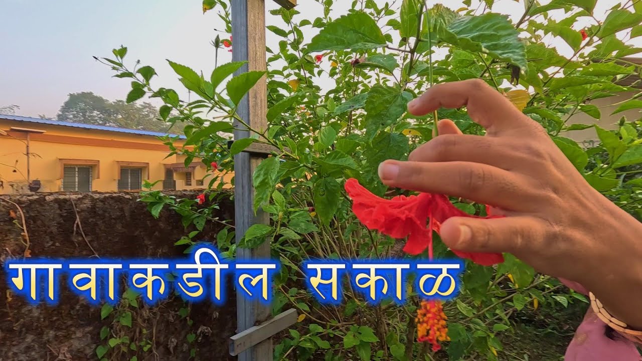 VLOG#44 गावाकडील सकाळ  #konkan #temple #villagelife #village