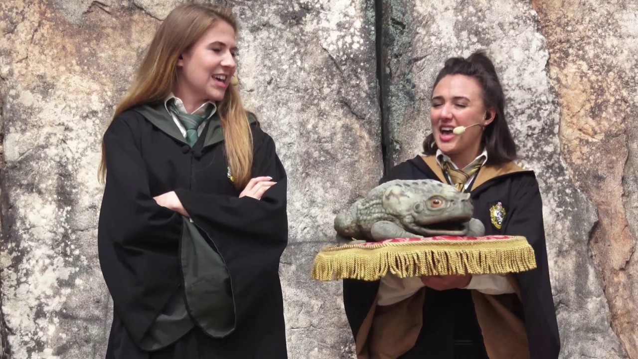 The Hogwarts Frog Choir 4K (2018)