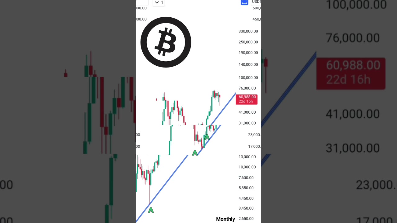 Bitcoin Monthly |  BTC #bitcoin #btc