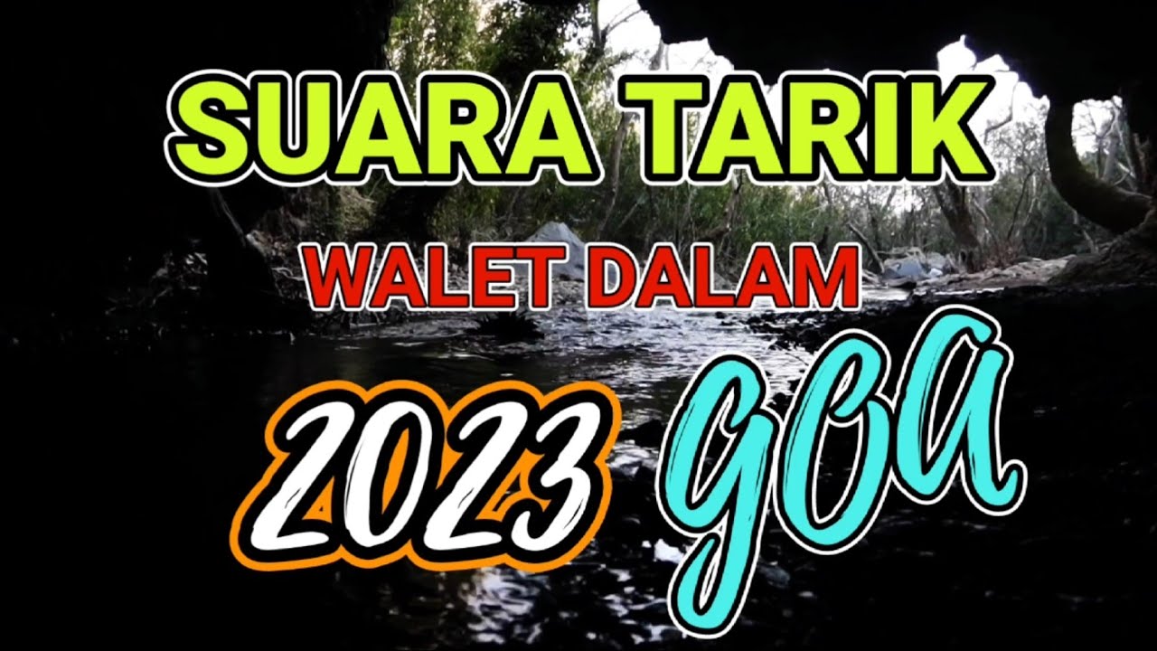 Suara Tarik || Tarik Walet Liar