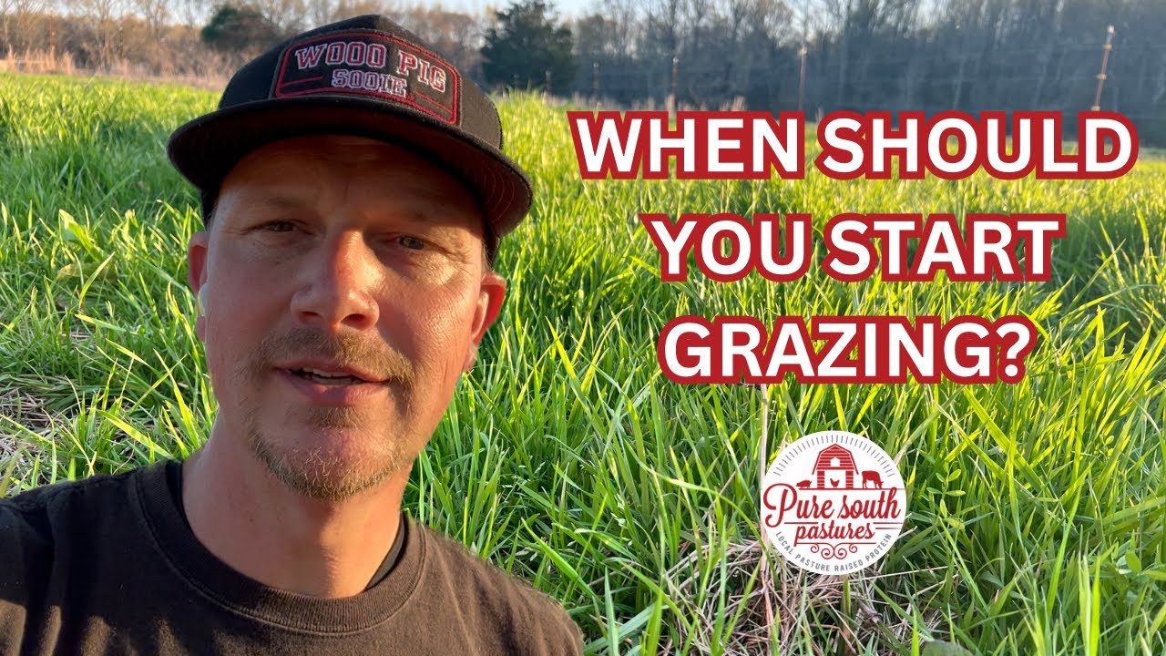 When is it time to start grazing? | Don&rsquo;t do what most people do!! | Learning to Farm