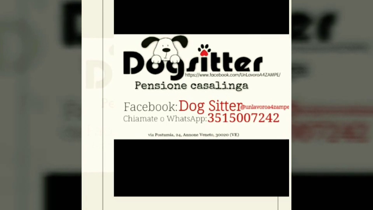 Le Regole di un Dog-Sitter🐾
