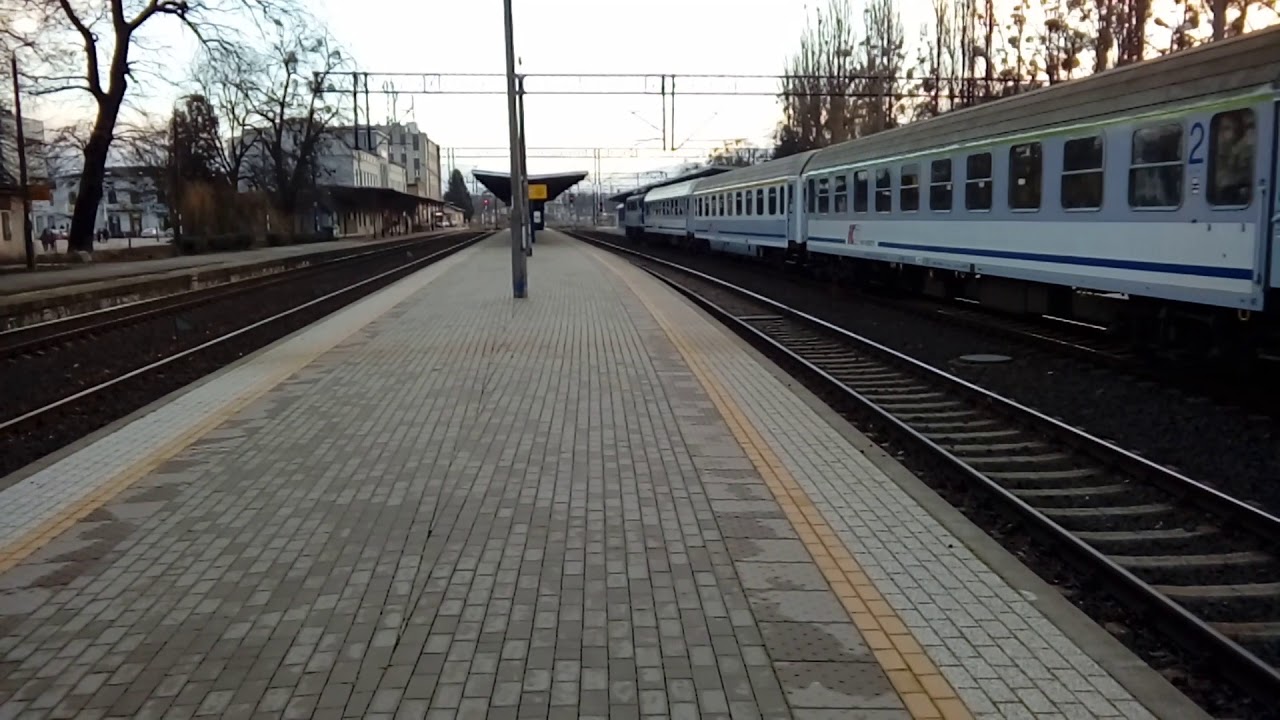 TLK Branicki. Elbląg