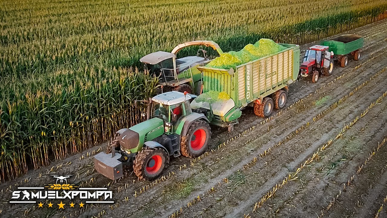 ✔ Koszenie Kukurydzy 2O2O ✔ FHU Emil ✔ Ogień na Tłoki ✔