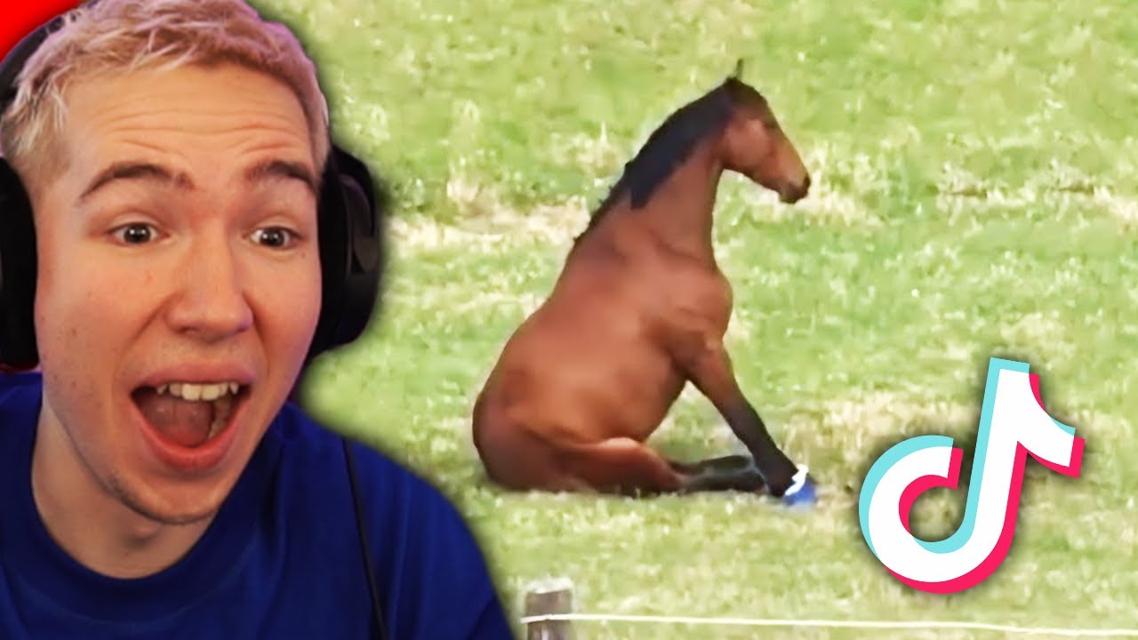 TikToks aber lachen = Liegestütze 💪