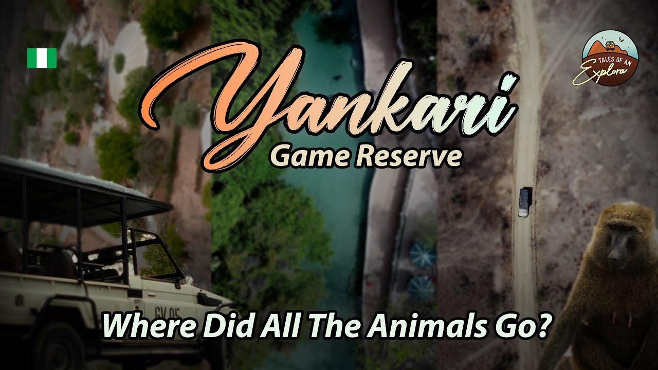 Yankari Game Reserve: What Happened to the Animals???