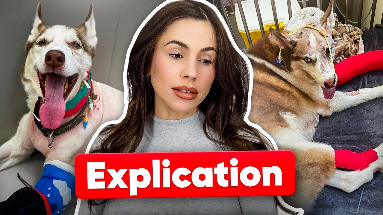 STORYTIME : QUE S’EST-IL PASSÉ AVEC TIMOUR ?