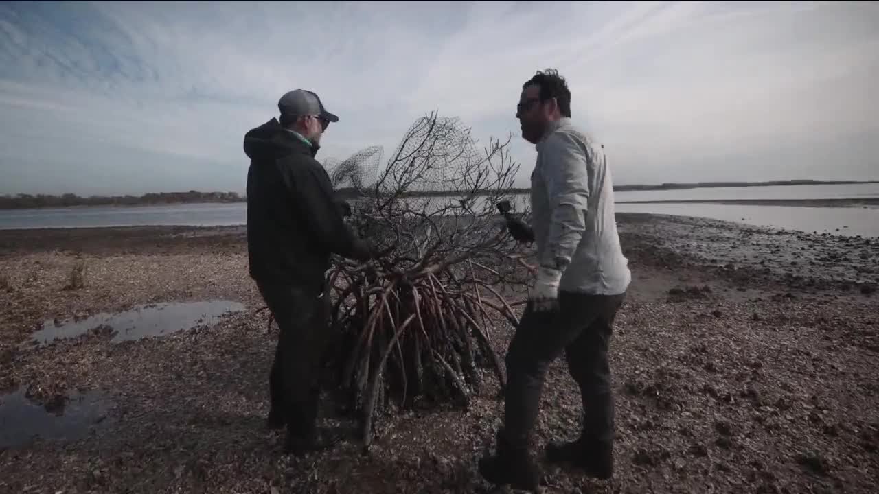 Shredded by Hurricanes: Cedar Key cleaning up marine debris