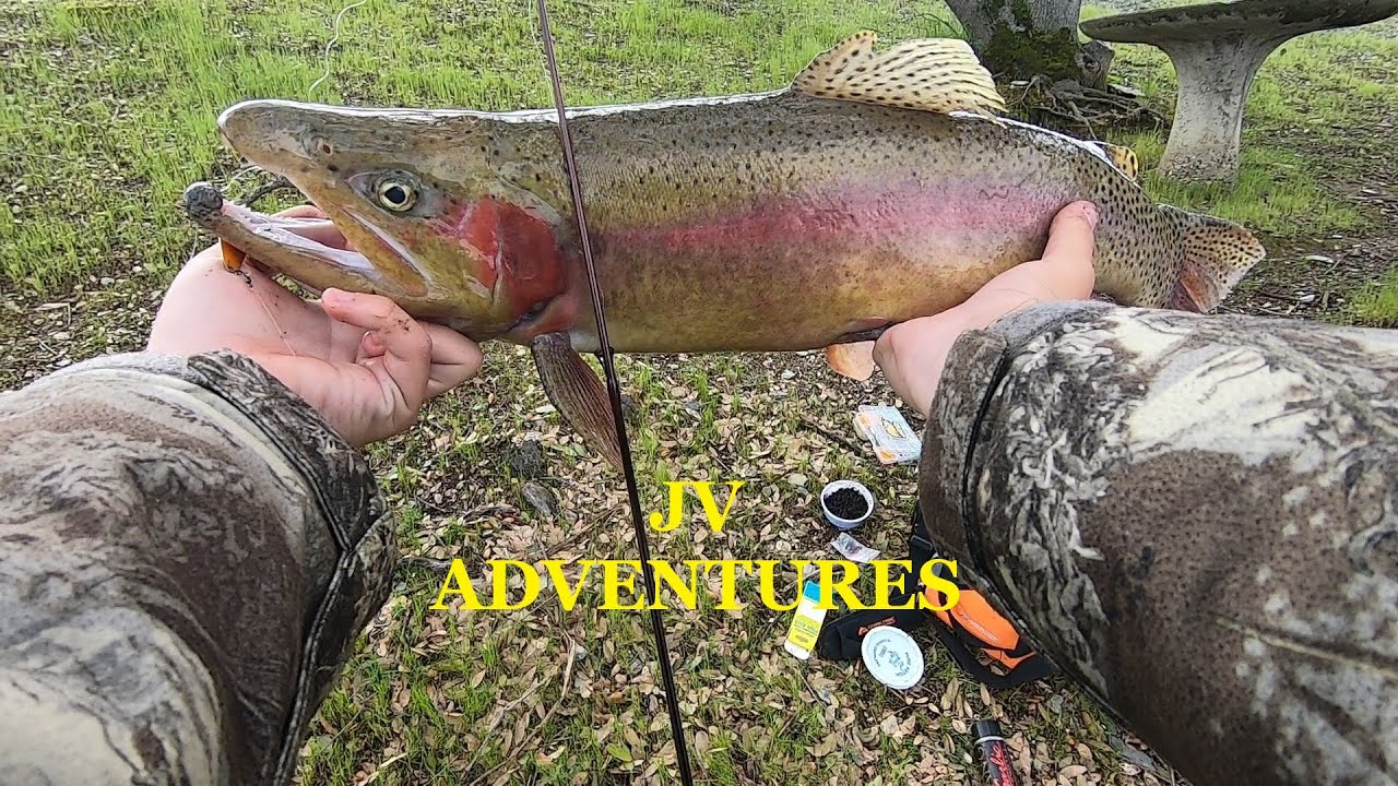 LAKE AMADOR FISHING WITH THE BEST SPOON ??? ( 🔥SUBURBAN TROUT 🔥)