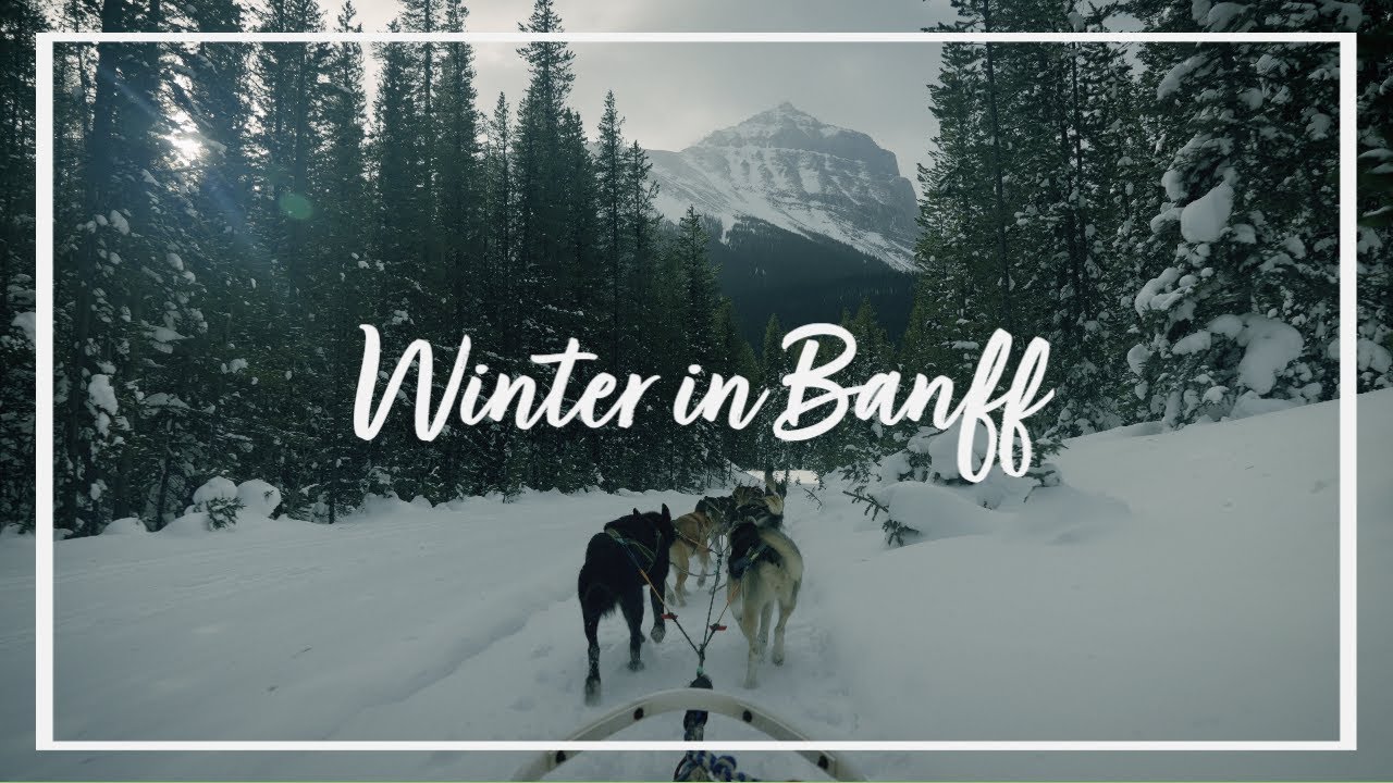 Winter in Banff | Cinematic Travel Film 4K | Sony A7SIII