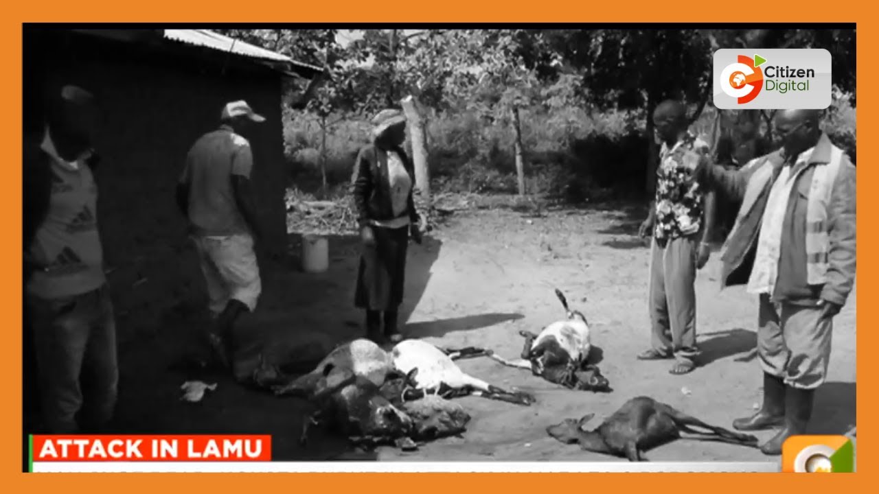 Man shot dead, houses burnt in attack in Marafa & Poromoko areas in Lamu