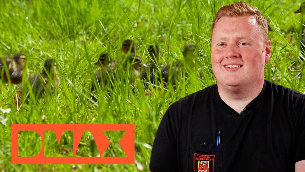 Entlein in Not | Feuerwehr im Einsatz | DMAX Deutschland