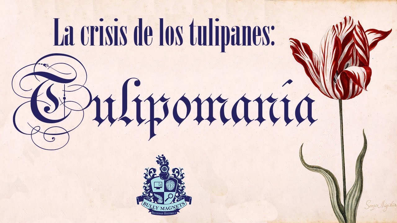 La primera burbuja económica: La crisis de los tulipanes 🌷 Tulipomanía 🌷 - Bully Magnets Documental