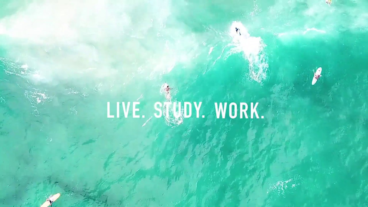 LIVE. STUDY. WORK. - On the Gold Coast