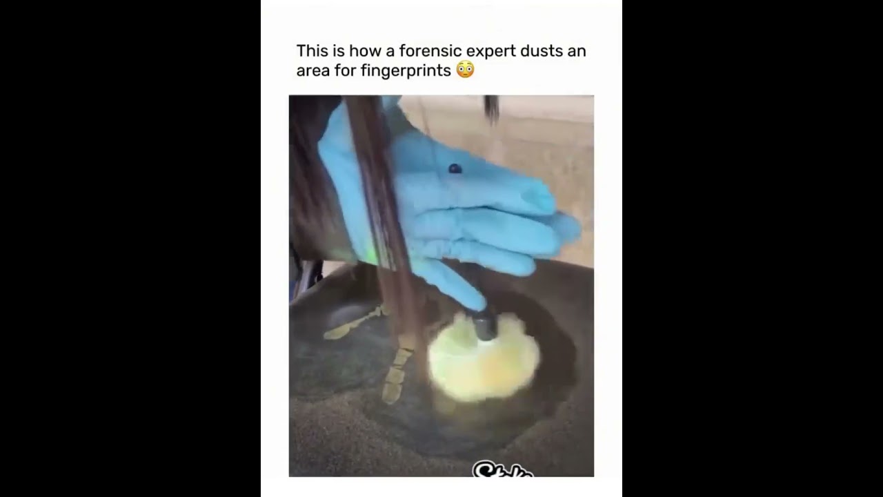 How Forensic Experts Detect Hidden Fingerprints | Crime Scene Science Explained