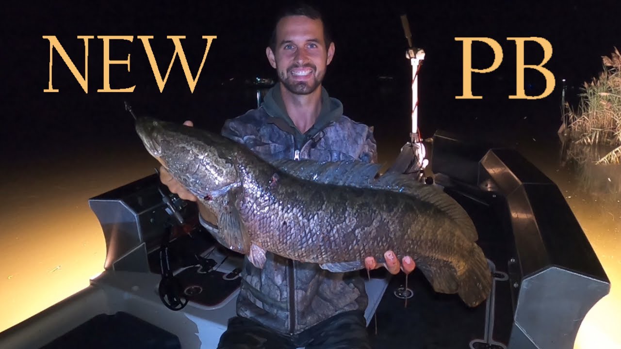 Snakehead Bowfishing on the Chester River! Maryland