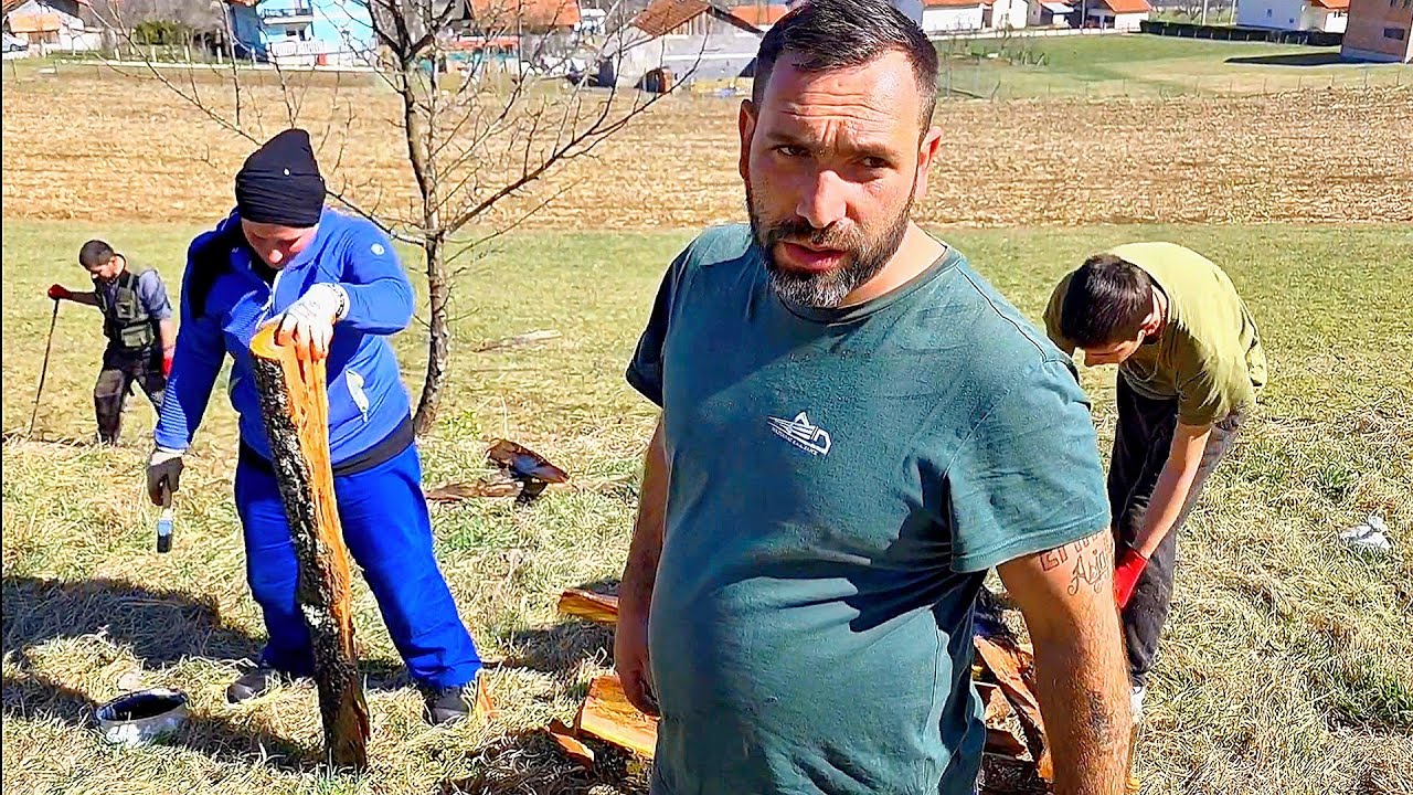Voćnjak blista Akcija na mom rancu sa ekipom iz firme „Đulo“! 🚜🔥