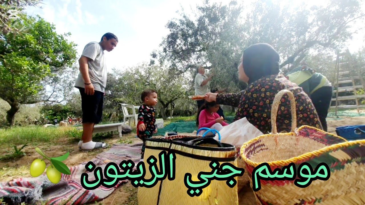 أحلى نهار عديتو 💞 غذاء في الطبيعة 🥰 جمعنا الزيتون 🫒 ماكنتش نتصور نعمل هكا في ولدي