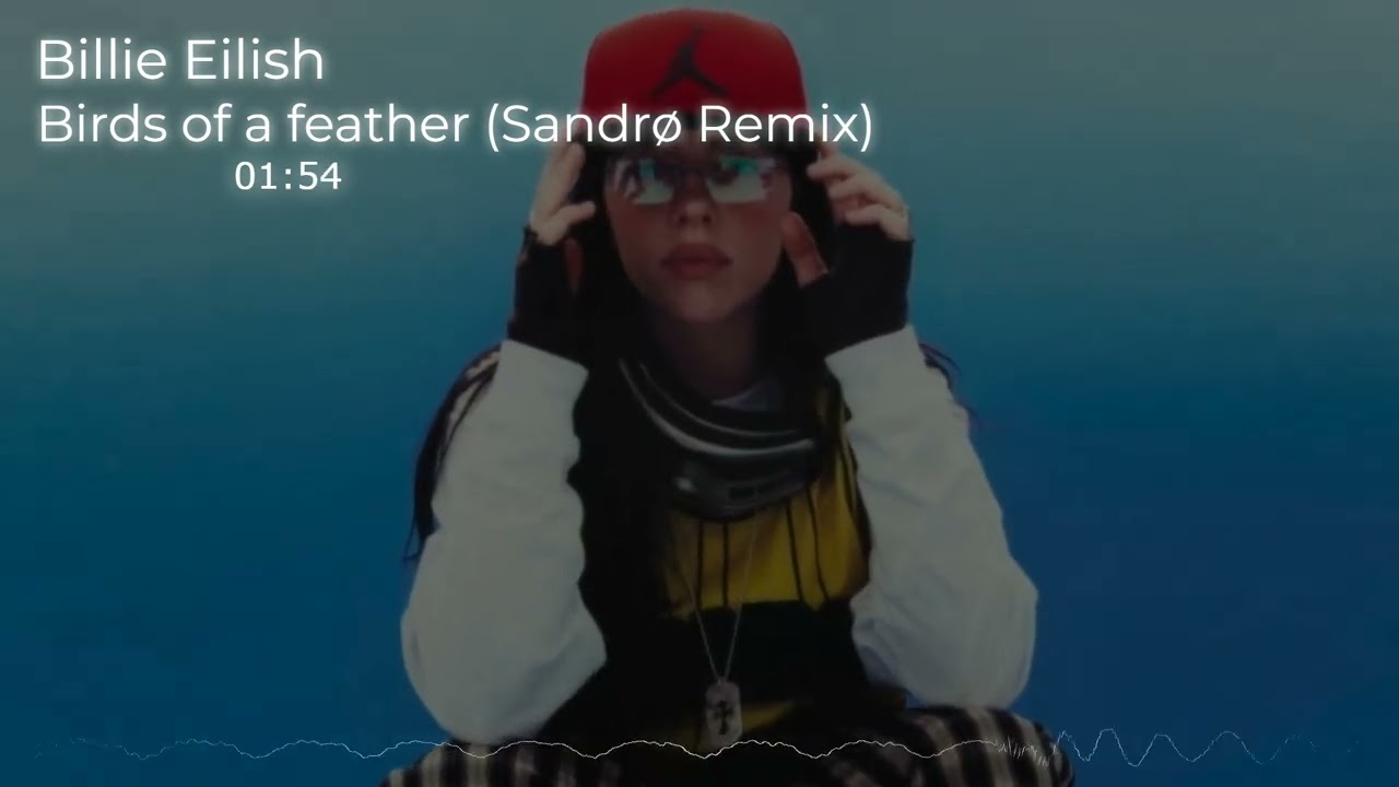 Billie Eilish - Birds of a feather (Sandrø Reggae Remix)