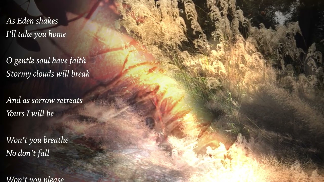 Martin Page - The Official Lyric Video for “Breathe In My Heart” from “The First and Last Freedom