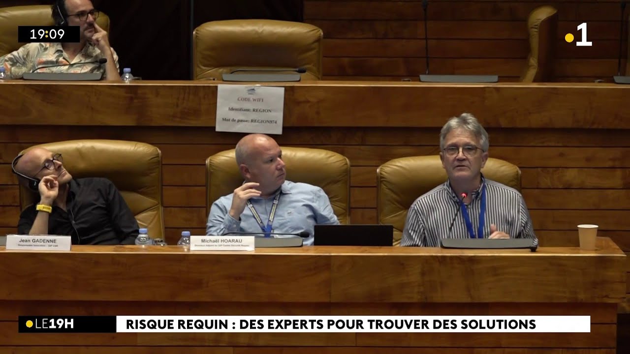 Quelles solutions pour r&eacute;duire le risque requin &agrave; La R&eacute;union ?