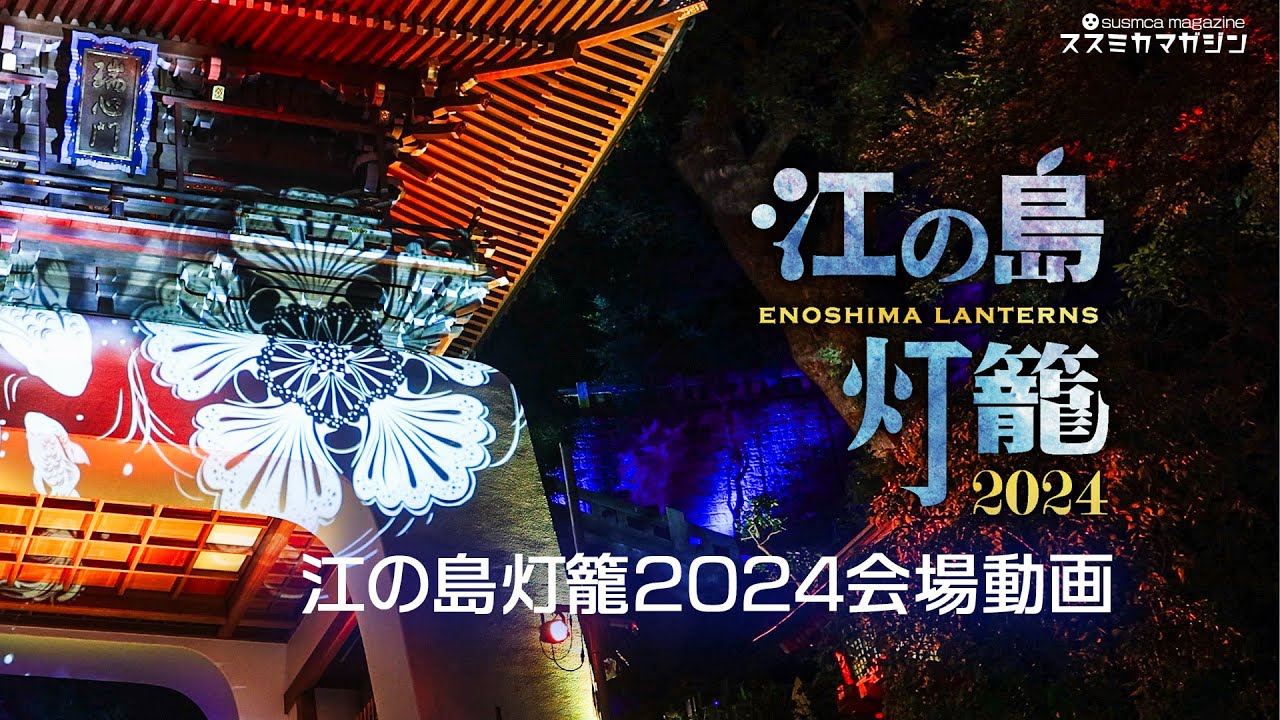 江の島灯籠2024 に行ってきた #江の島 #ライトアップ #混雑 #混雑状況