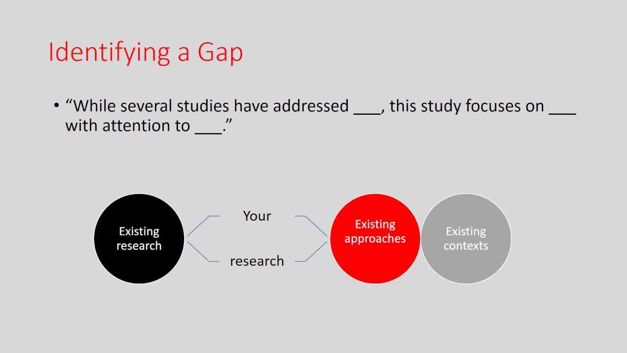Writing a Literature Review