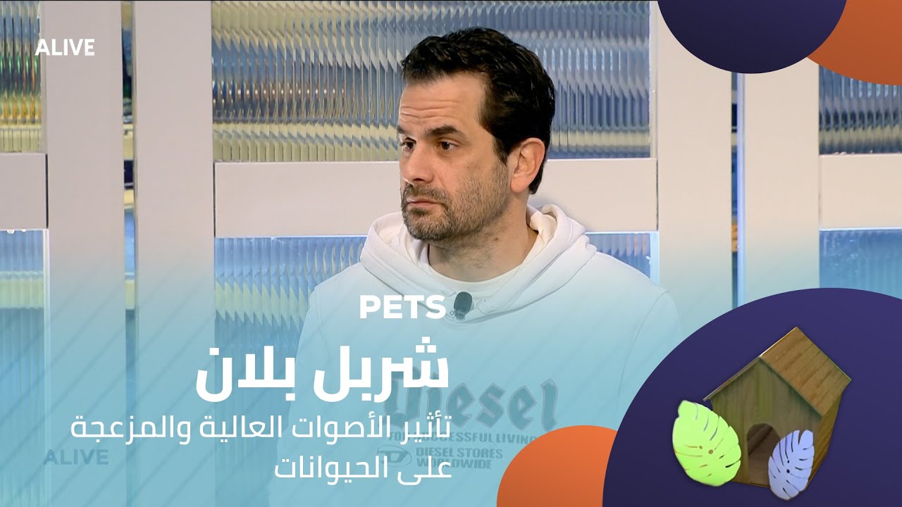 Pets  - 26/01/2026 - شربل بلان - تأثير الأصوات العالية والمزعجة على الحيوانات