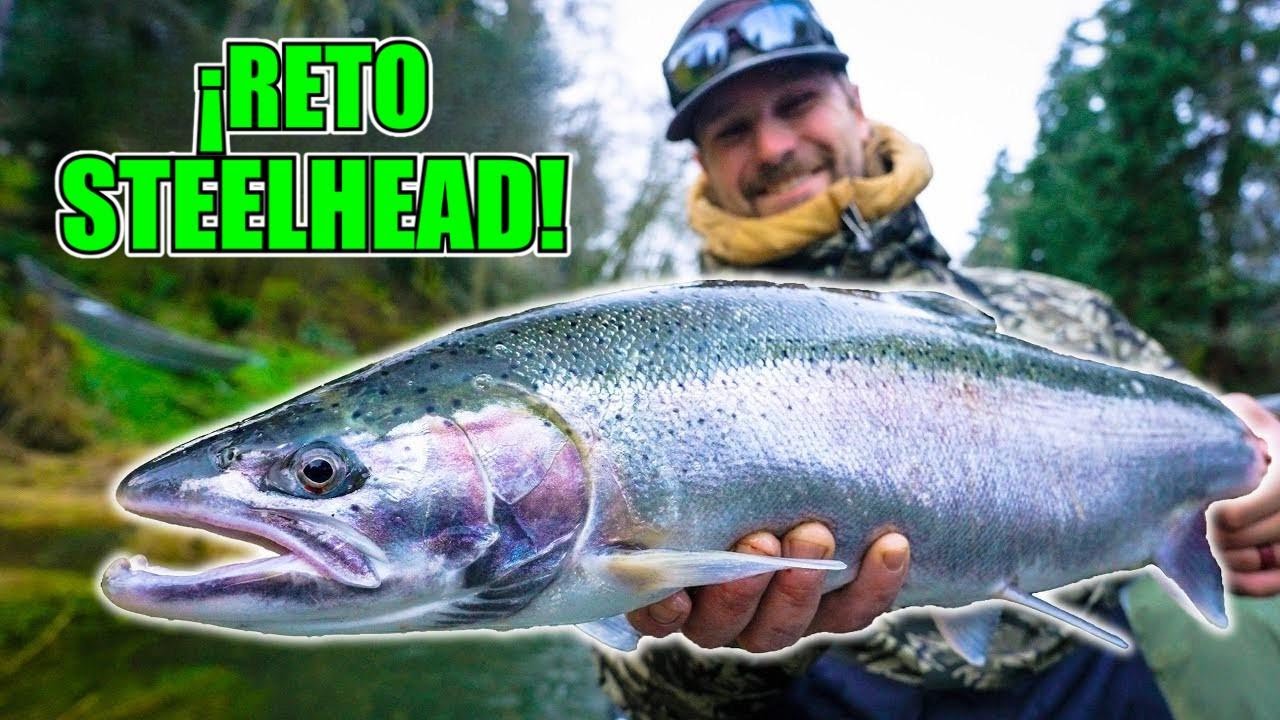 Pesca de steelhead en invierno temprano: ¡lo que pasó nadie lo esperaba! Resumen extra