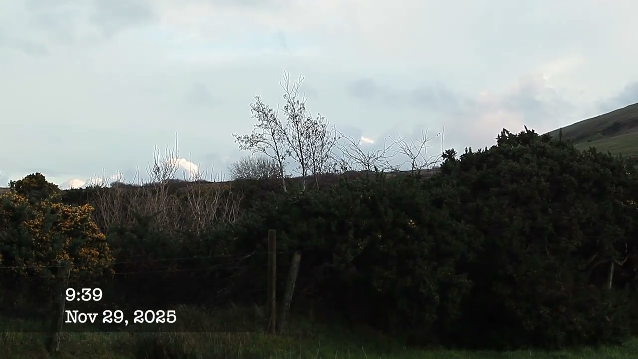 Hunting Foxes with a pack of hounds in North Antrim ~ 29th Nov. 2025.