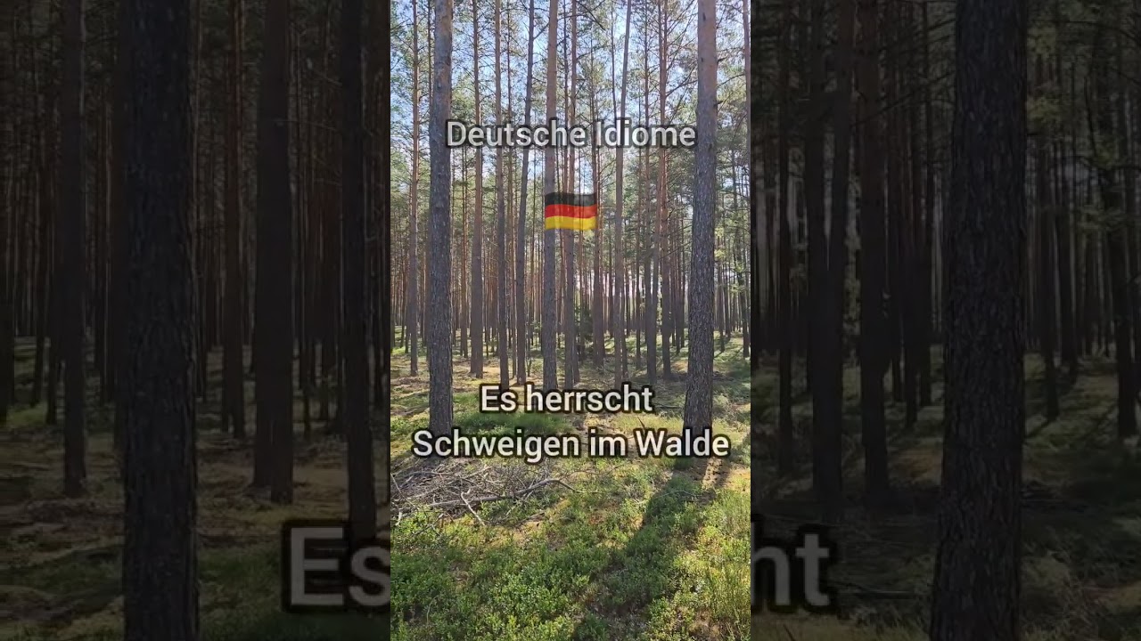 deutsche Idiome 