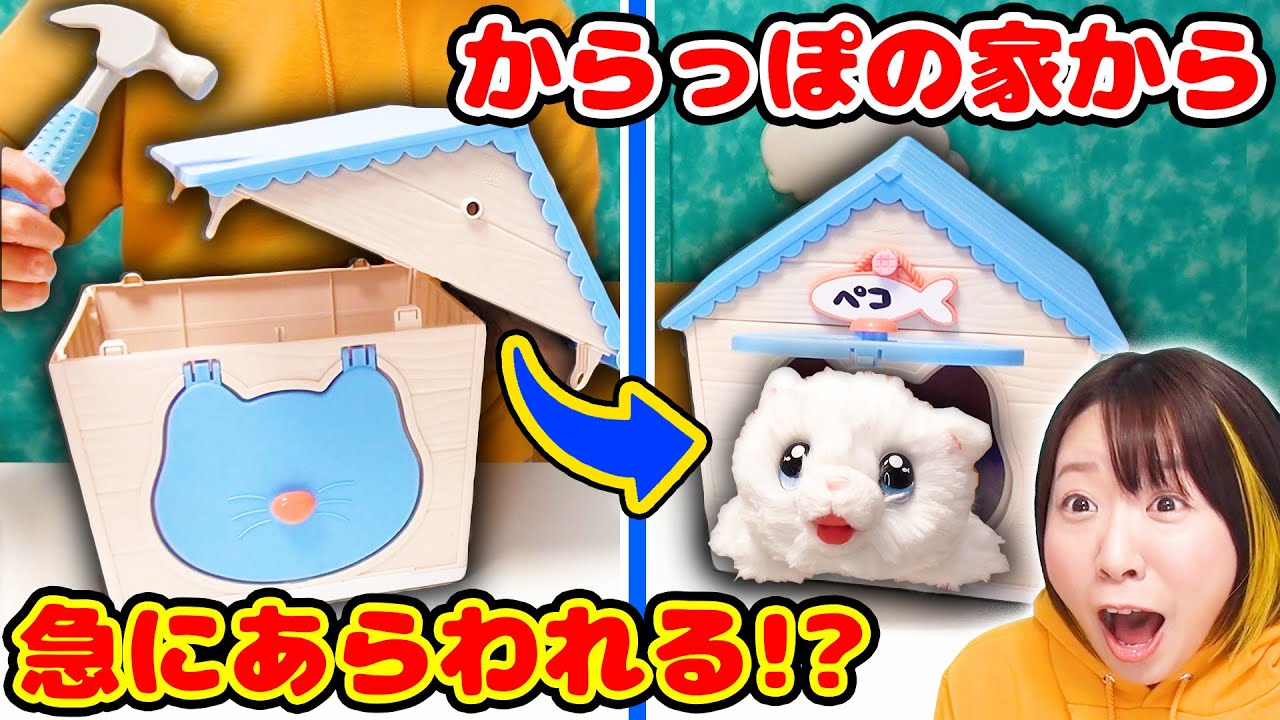 【DIY】どこから来たの!?😳 お家を作るとねこちゃんが現れる『マジカルDIY　にゃんことおうち』がすごすぎた！！🏠🐱