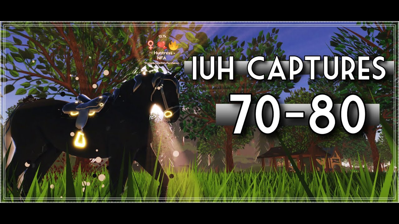 IUH's 70-80! || Wild horse islands