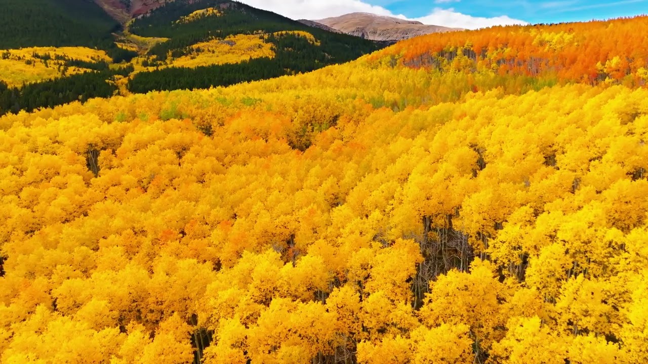 Relaxing Colorado Fall Scenery — Twin Lakes 4K Cinematic Drone Footage (1 Hour)